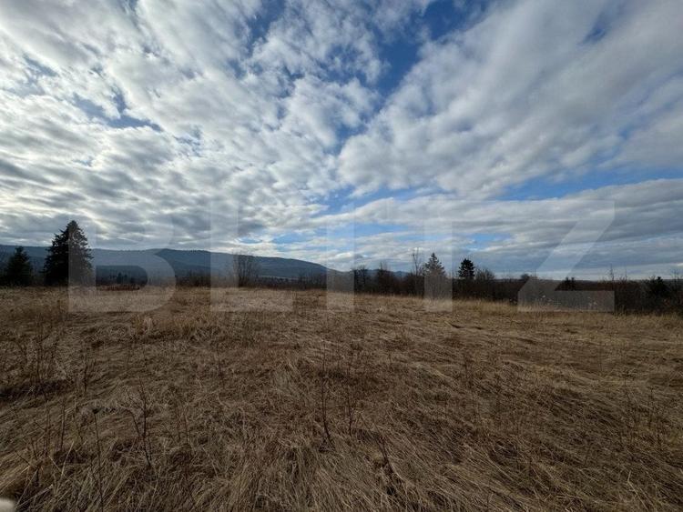 Teren Construcții intravilan de 2500 mp, în Marginea
