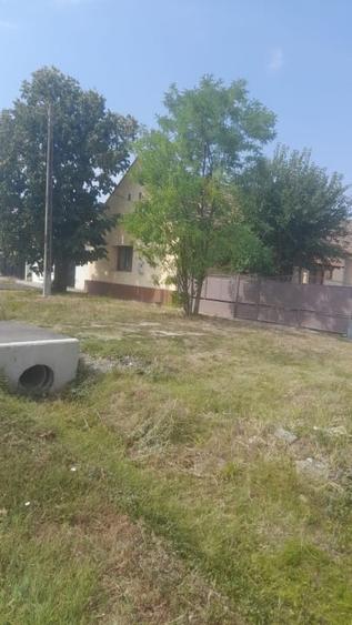 Casă individuală cu 4 camere cu Teren 2500 Mp în Dudeștii Noi