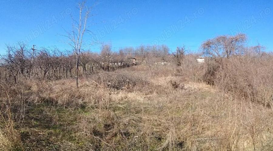 Teren de 1600 mp, în Siliștea