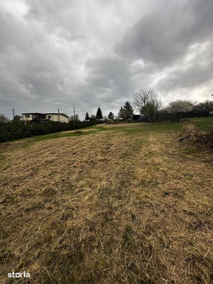 Casă cu 2 camere cu Teren 828 Mp în Săldăbagiu de Munte