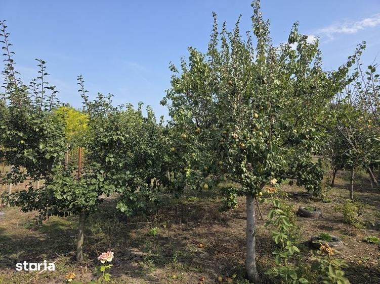 Casă cu 3 camere cu Teren 100 Mp în Glodeanu-Siliștea