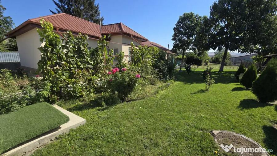 MIHAIL KOGALNICEANU - CASA LA SOL, 3 CAMERE ,TEREN 2000 MP - Tulcea (Tulcea) - 4