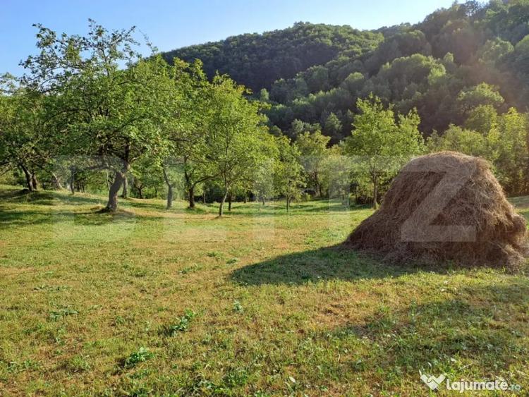 Casă cu 2 camere cu Teren 10000 Mp în Almașu Mare