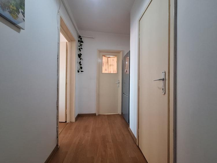 Apartament cu 2 camere decomandat, mobilat în Șagului