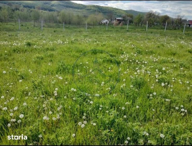 Teren de 1000 mp, în Mărișelu