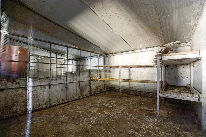 Casă cu 4 camere cu Teren 6000 Mp în Lunca Mărcușului