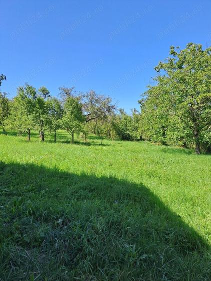 Teren în Aluniș