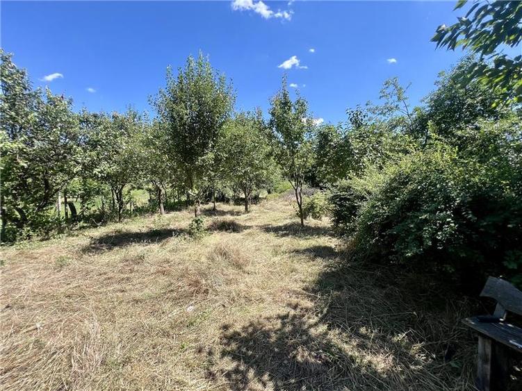 Vila  de vanzare Iasi Ciurea, Ciurea, - 9