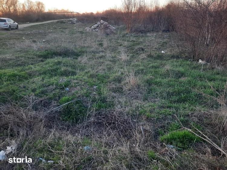 Teren de 7650 mp, în Săbăreni