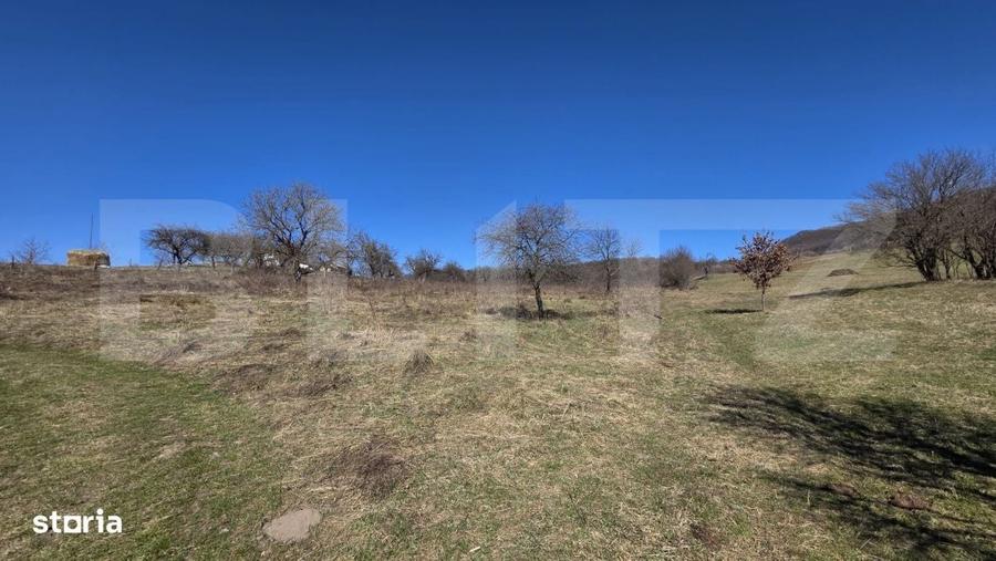 Teren de vanzare de 8,567MP in zona: Tarpiului - 4