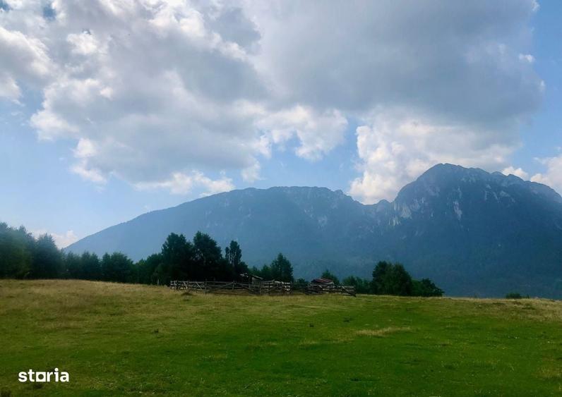 Spațiu comercial, de 1,500 mp, în Poiana Mărului