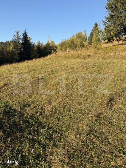 Teren de 22870 mp, în Stoicănești