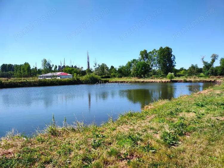 Teren de 18247 mp, în Mișca