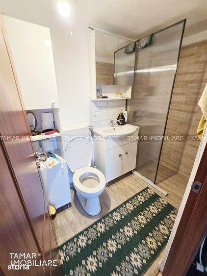 Casă cu 2 camere cu Teren 8800 Mp în Gurahonț