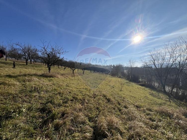 Teren agricol intravilan de 10000 mp, în Bădeni