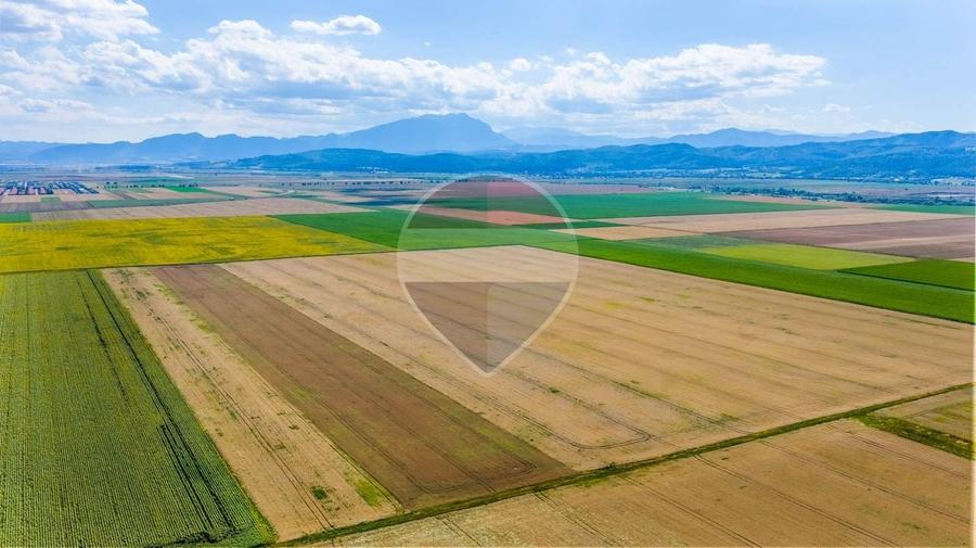 Teren agricol extravilan de 20000 mp, în Cristian