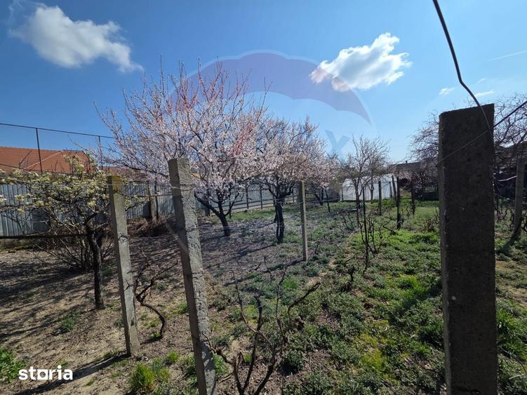 Casă cu 5 camere cu Teren 1010 Mp în Ultracentral
