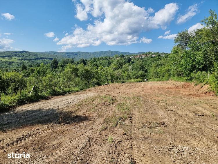 Teren de 1600 mp, în Pucheni