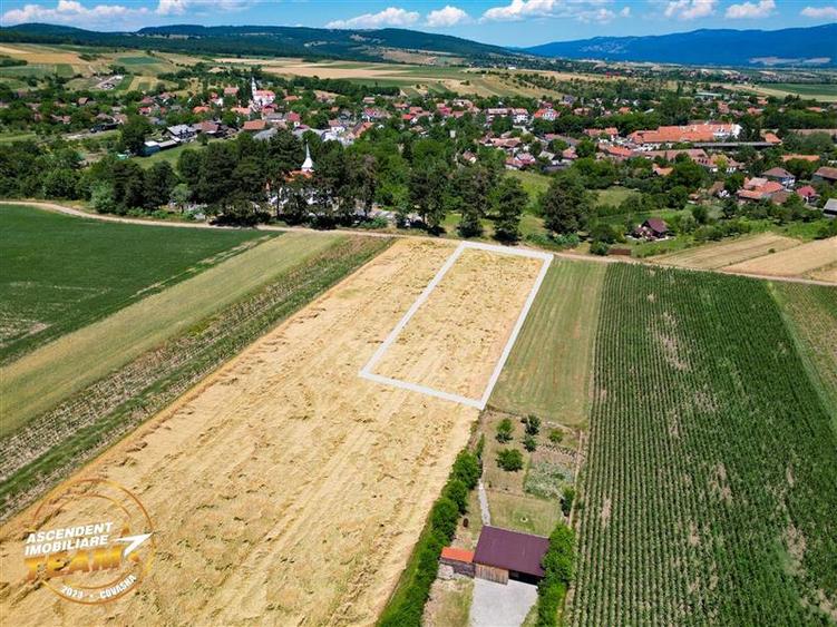 Teren agricol extravilan de 2268 mp, în Valea Crișului