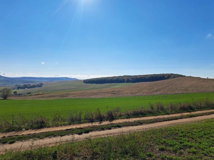 Teren agricol extravilan de 270000 mp, în Visuia