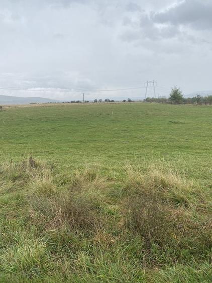 Teren de 1000 mp, în Predeluț