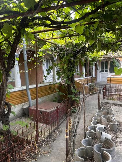 Casă cu Teren 1200 Mp în Tulucești