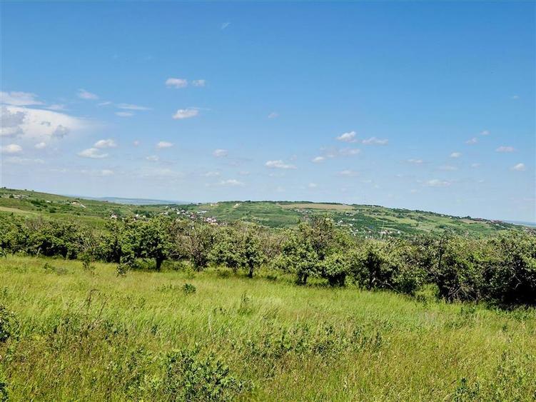 Teren Construcții intravilan de 800 mp, în Tomești