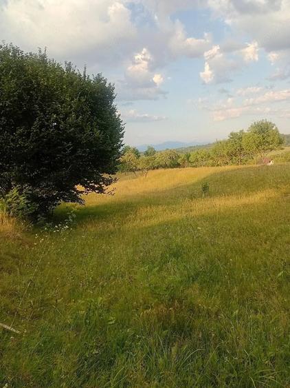 Teren de 3112 mp, în Breb
