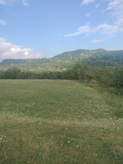 Teren de 2500 mp, în Domnești