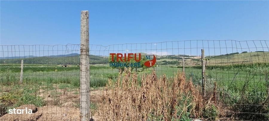 Spațiu comercial, în Șard