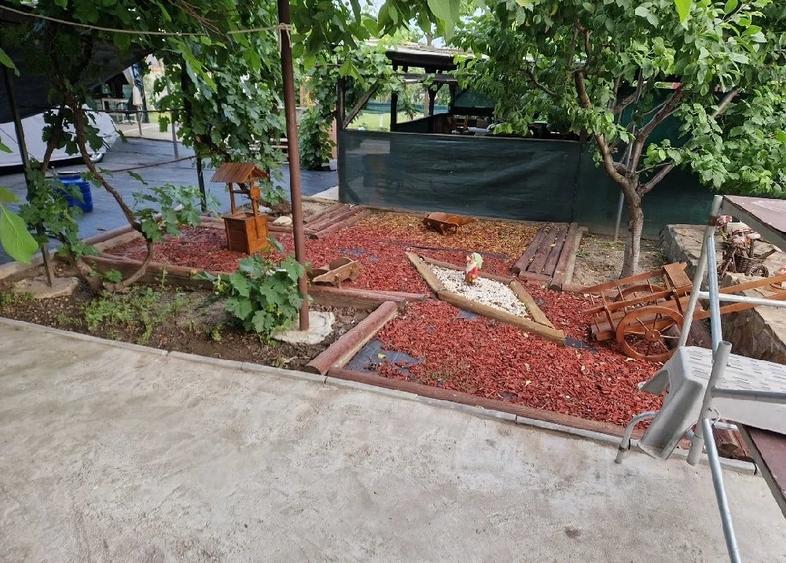 Casă cu Teren 1200 Mp în Schela