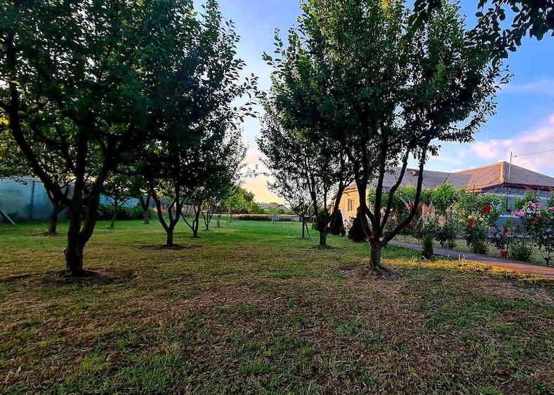 Teren intravilan 1.200+ mp | Livada & Acces privat 7m | Salcioara - Jurilovca - 1