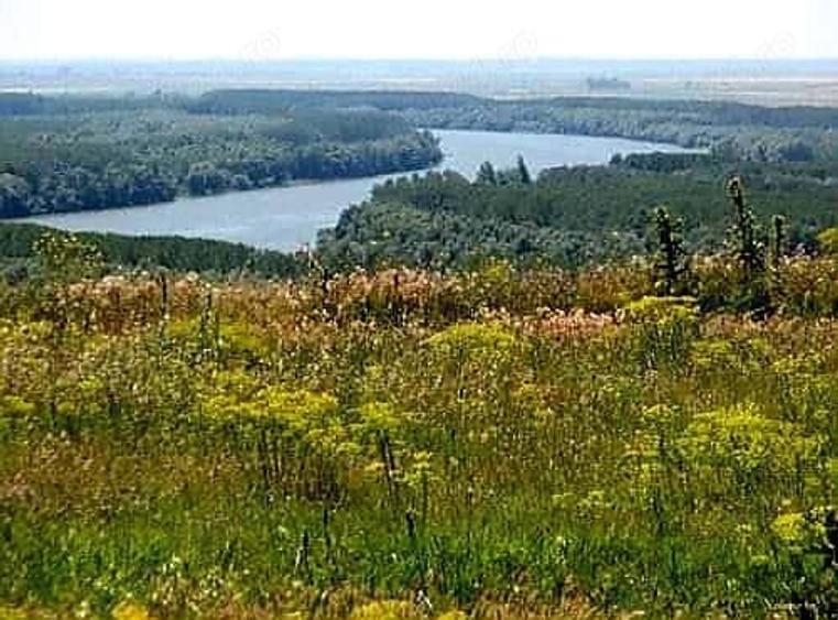 Vand Livada migdali,caisi,pruni -12.300 mp Terasa Dunarii Ostrov-Jud.Constanta - 3