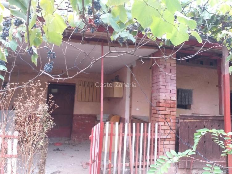 Casă cu 3 camere cu Teren 3070 Mp în Sacoșu Turcesc