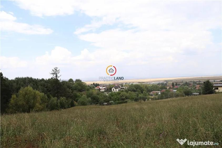 Teren de 1195 mp, în Poiana Angelescu