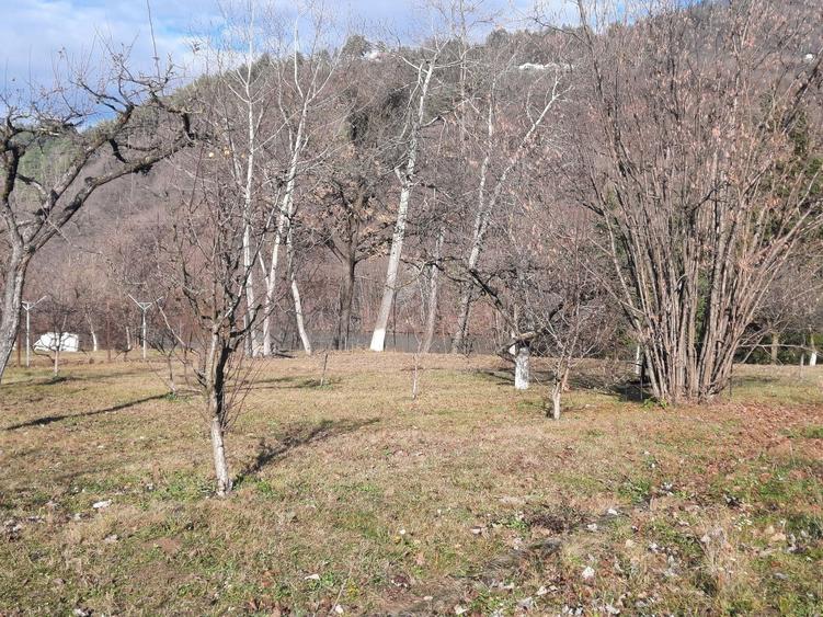 Teren intravilan de 2961 mp, în Alexandru cel Bun