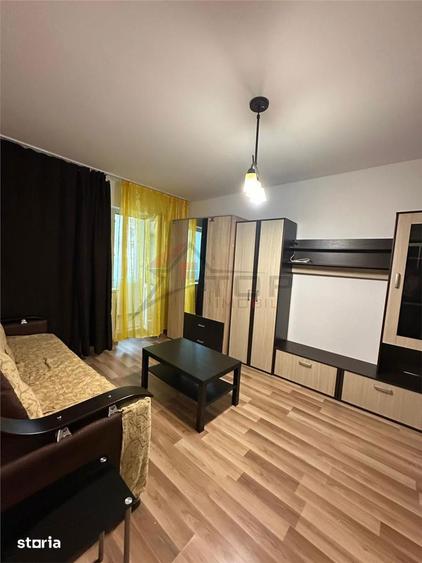 Inchiriere Apartament cu 2 camere Tatarasi- PET FRIENDLY - 2