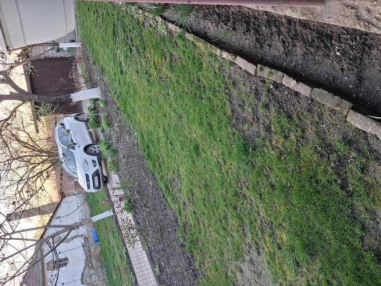 Casă cu Teren 2500 Mp în Otelec