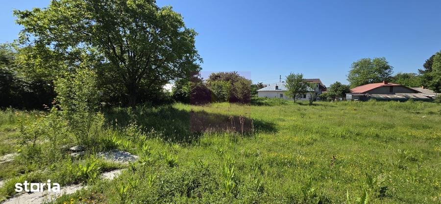 Teren intravila 40.679 mp in Campina, dezvoltare imobiliara - 5