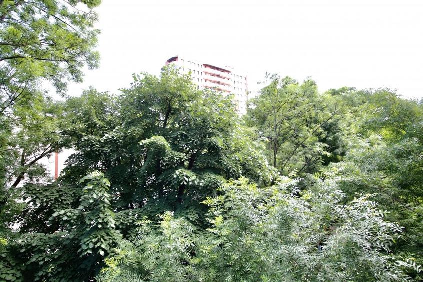 Apartament cu 2 camere decomandat, mobilat în Pajura