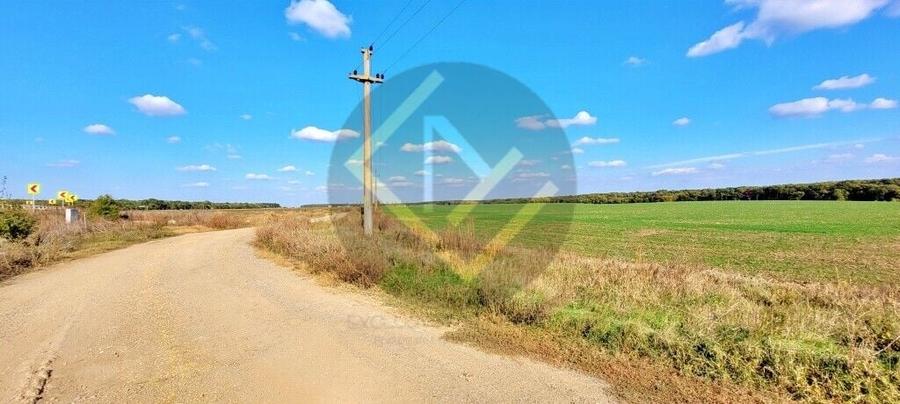 Teren Construcții intravilan de 91000 mp, în Snagov