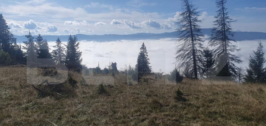 Teren Construcții extravilan de 50000 mp, în Vatra Dornei