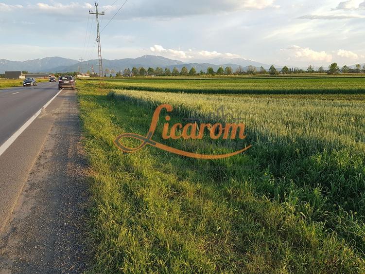 Teren Construcții intravilan de 4600 mp, în Stupini