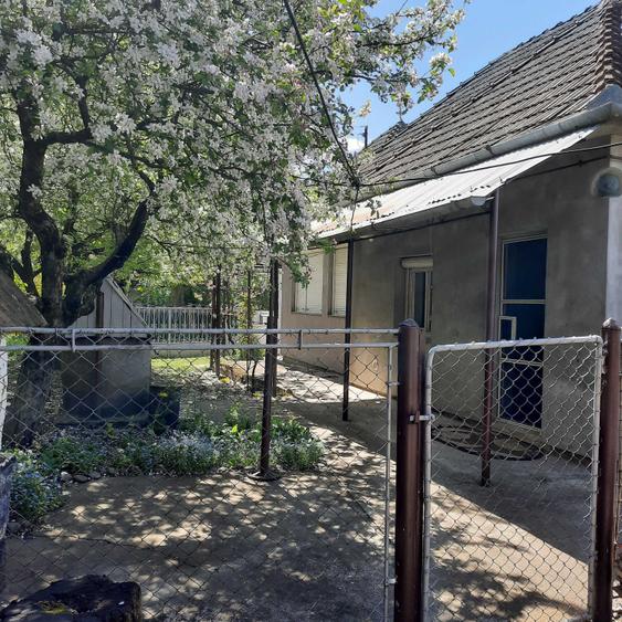 Casă cu 3 camere cu Teren 1350 Mp în Central