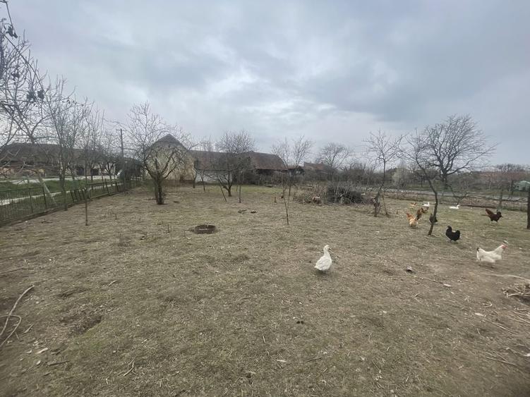 Casa de vanzare la drumul national, 2 pozitii, 2 CF-uri - 1