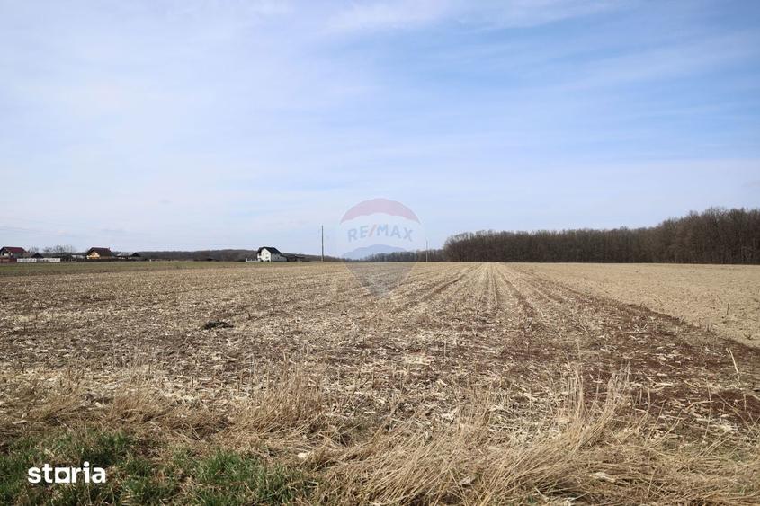 Teren de 9740 mp, în Bosanci