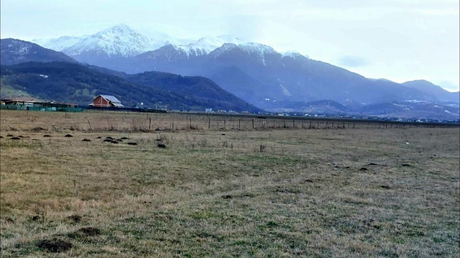 Teren Construcții intravilan de 1049 mp, în Pănicel