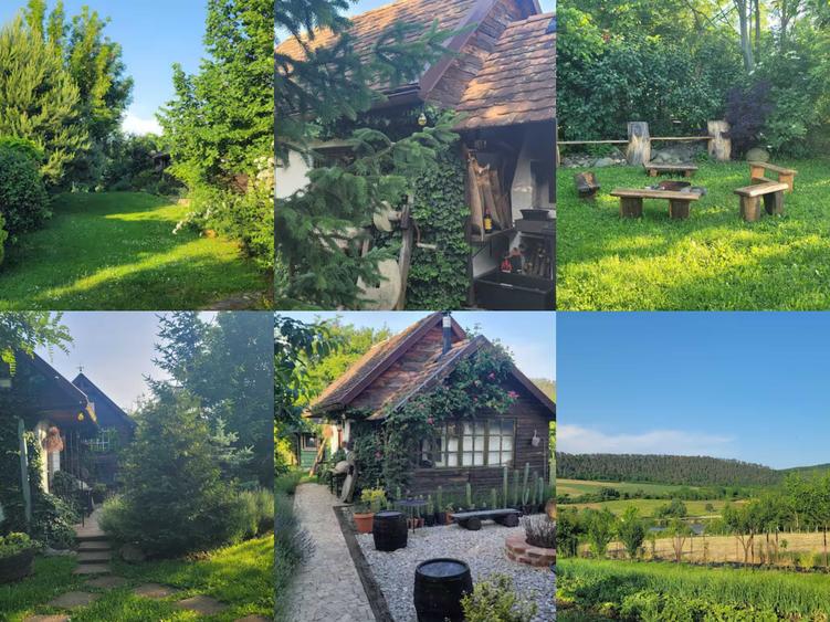 Casă cu 4 camere cu Teren 7500 Mp în Bazna