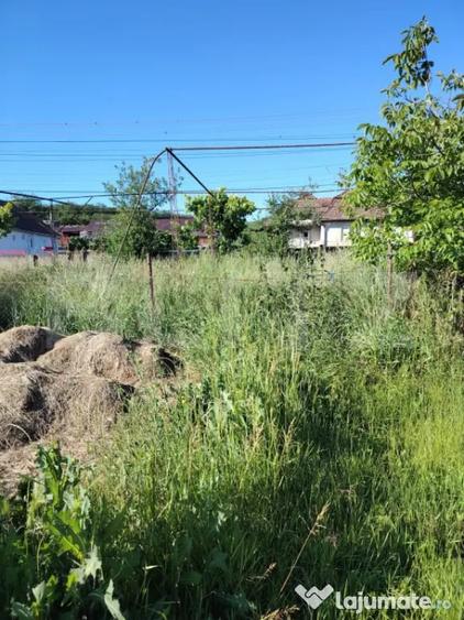 Casă cu 2 camere cu Teren 3750 Mp în Ceanu Mare