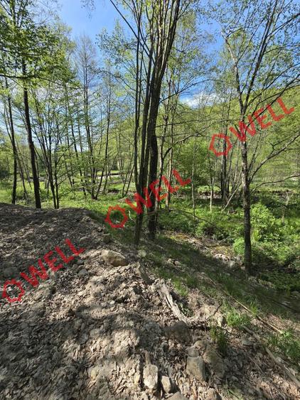 Teren extravilan de 5600 mp, în Filia